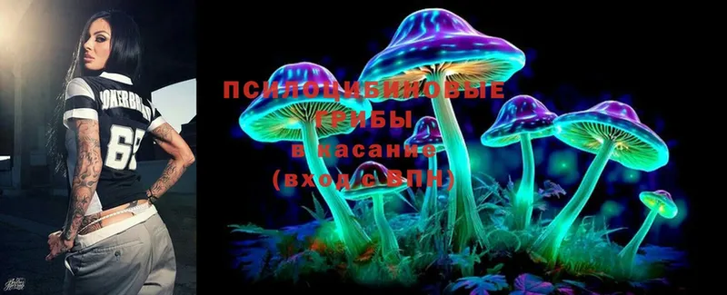 нарко площадка Telegram  kraken онион  Тулун  Галлюциногенные грибы MAGIC MUSHROOMS 